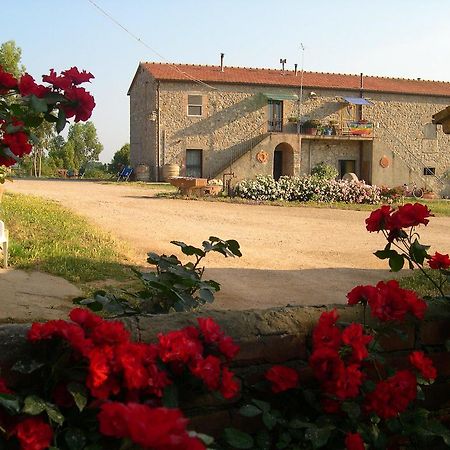 Agriturismo La Valentina Nuova Villa Talamone Exterior photo