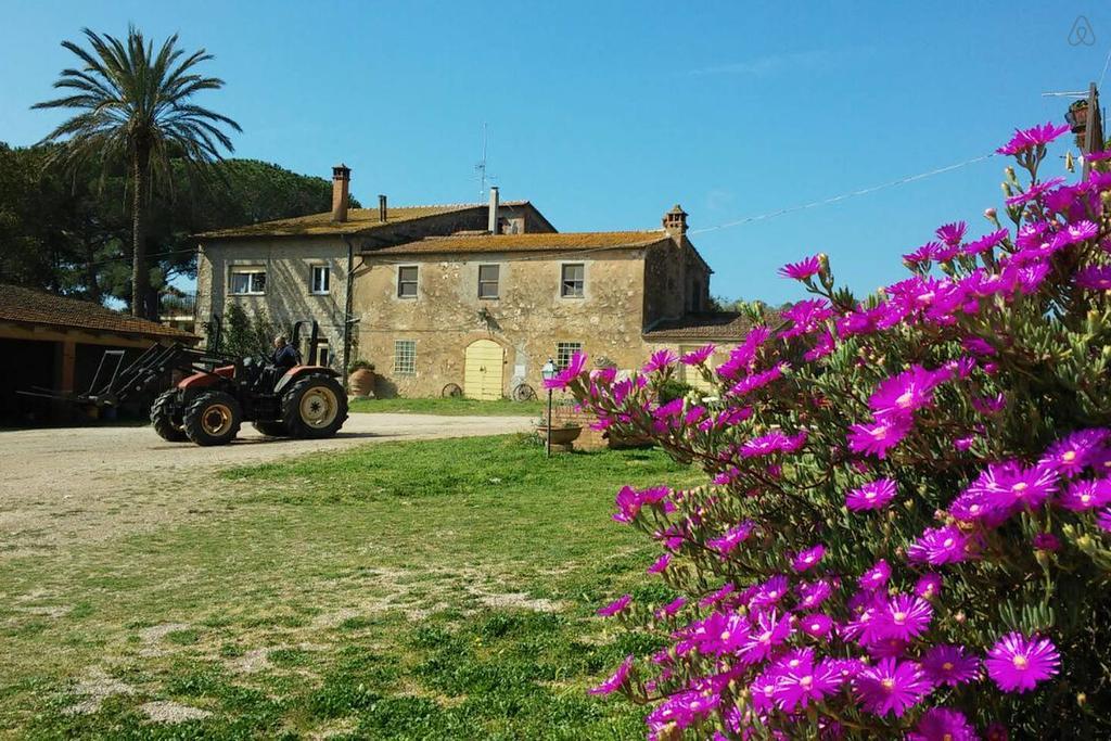 Agriturismo La Valentina Nuova Villa Talamone Exterior photo